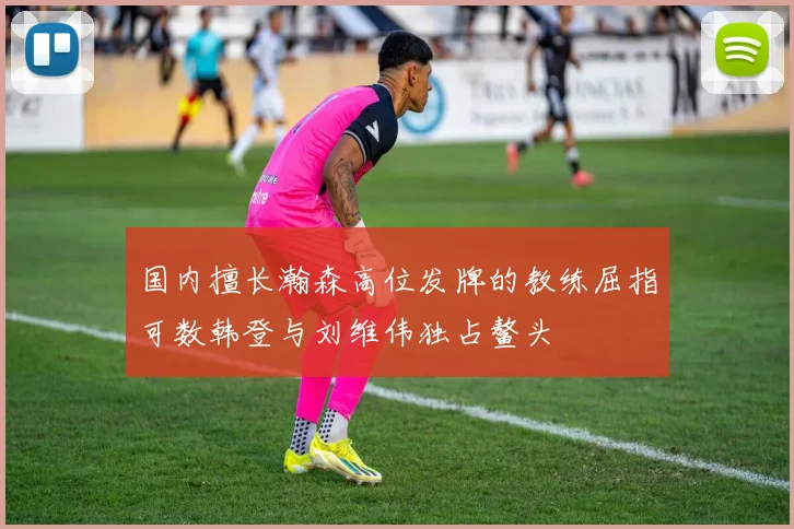 国内擅长瀚森高位发牌的教练屈指可数韩登与刘维伟独占鳌头