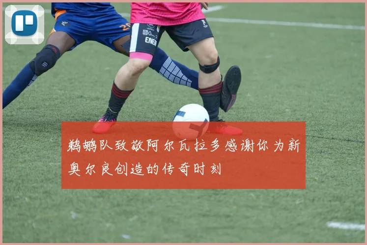 鹈鹕队致敬阿尔瓦拉多感谢你为新奥尔良创造的传奇时刻