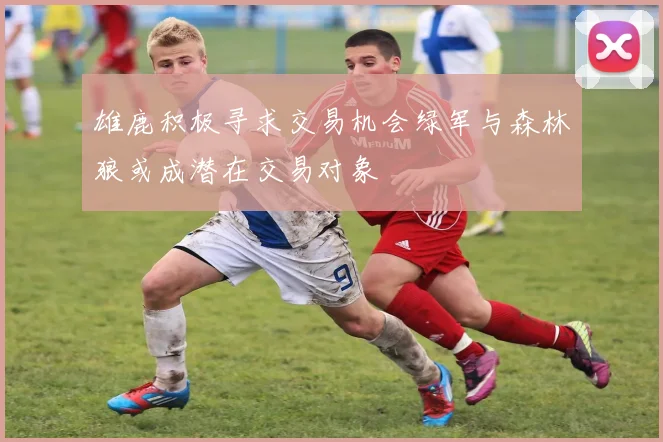 雄鹿积极寻求交易机会绿军与森林狼或成潜在交易对象